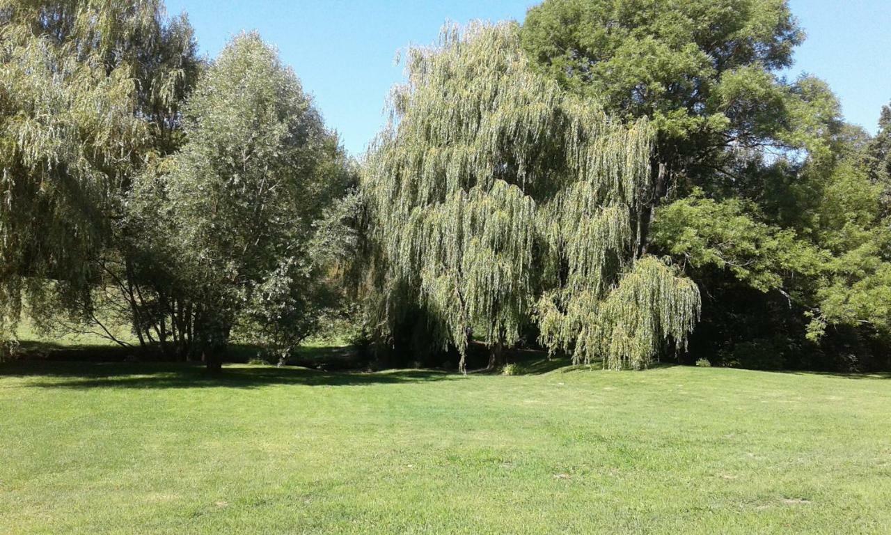 Le Moulin De Varax Saint-Paul-de-Varax المظهر الخارجي الصورة